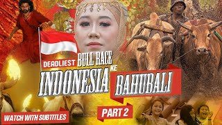 Deadliest Bull Race of Indonesia Part- 2 , Real Life #bahubali , Pacu Jawi🇮🇩