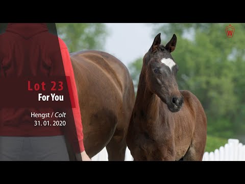 23 For You Hengst v. Fashion in Black NRW - Flatley