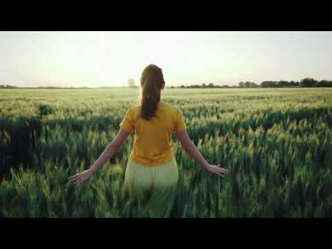 beauty of nature 4K video