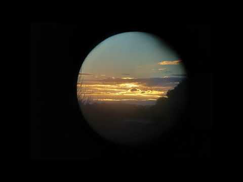 Schulz Audio - Amanita