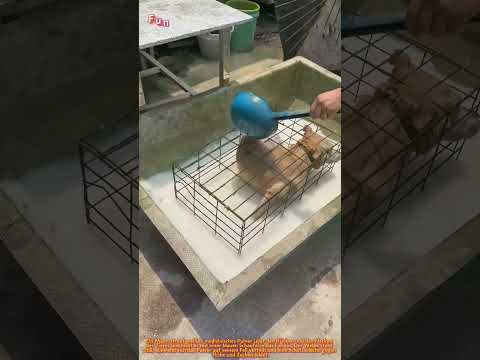 Die Kunst der Hundehaltung: Das Schutzritual des Hundeführers