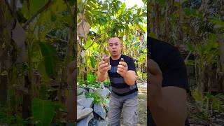 Download lagu Single mom with broken lighter akills 🔥 #bushcraft #singlemom #camping #survival #outdoors mp3