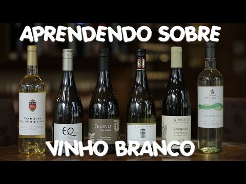 APRENDENDO SOBRE VINHO BRANCO | Divino Vinho