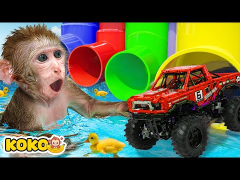 Monkey Koko Play Rainbow Waterslide At Ball Pit Pool With Puppy | KUDO KOKO CHANNEL