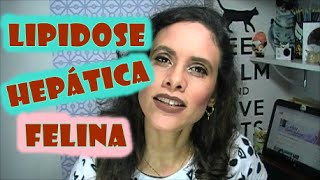 LIPIDOSE HEPÁTICA FELINA / #VidaDeVeterinaria