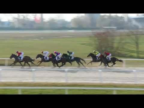 2017.11.05. 3. futam - BEVEZETŐSZÍJ HENDIKEP (III.o.) (szintetikus pálya)