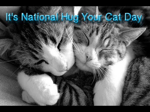 NATIONAL HUG YOUR CAT DAY