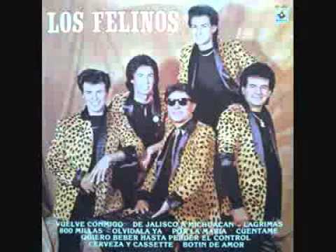 Los Felinos Quiero Beber Hasta Perder El Control