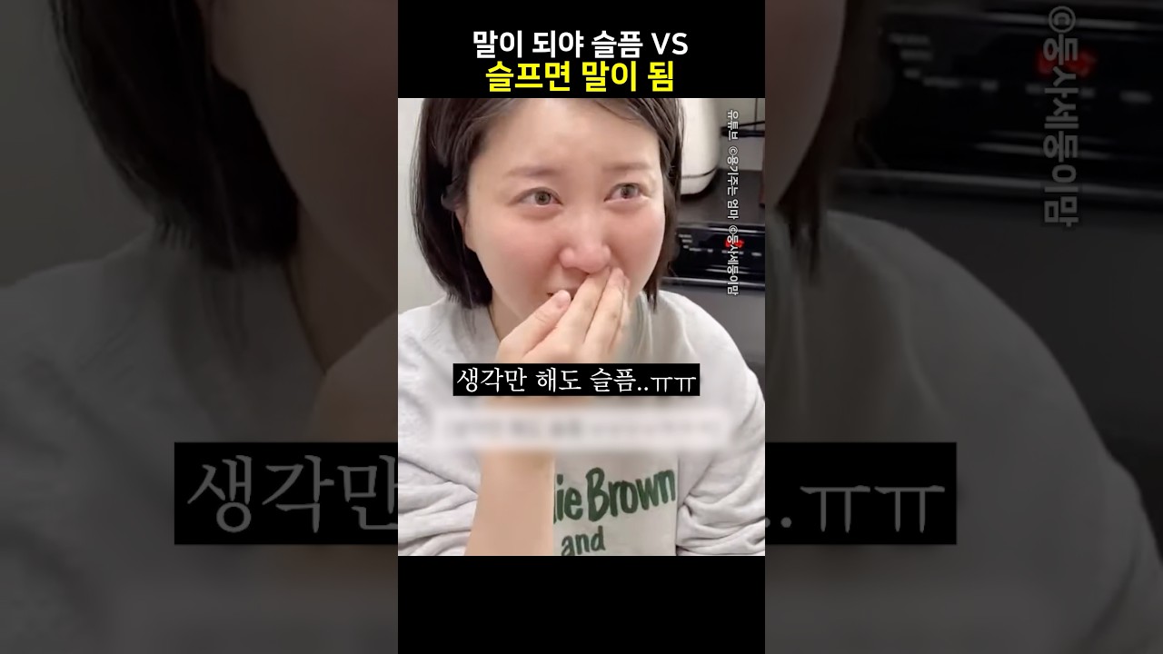 말이 돼야 슬픔 VS 슬프면 말이 됨 @용기주는엄마 @doongsase