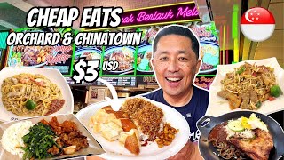 Download lagu Singapore on a Budget! 🇸🇬 Cheap Meals at CHINATOWN & ORCHARD STREET SINGAPORE! mp3