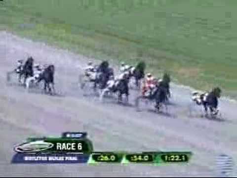 2007 Mistletoe Shalee