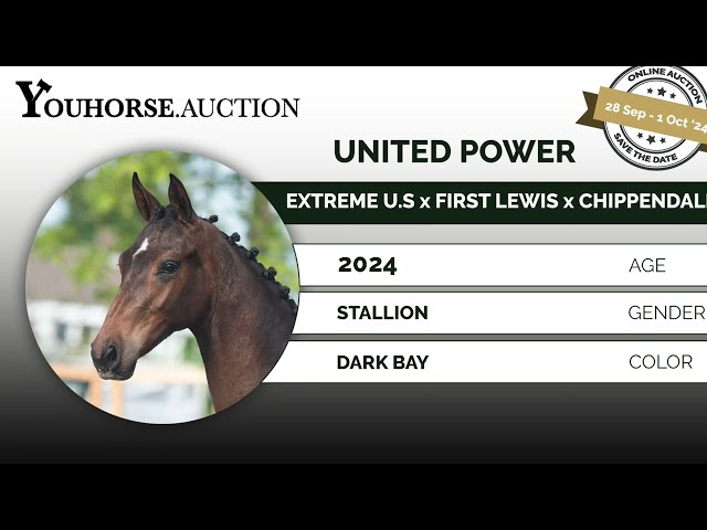 United Power