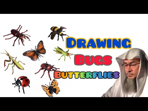 Can we draw bugs, butterflies (2D 3D) - Assim al hakeem