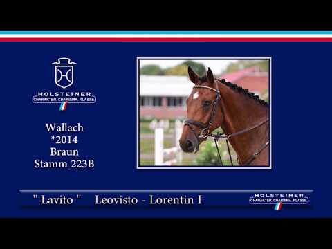Holsteiner Elite-Reitpferdeauktion 2019 | Nr. 134 Lavito - Turnierimpression