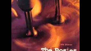 The Posies -  DREAM ALL DAY
