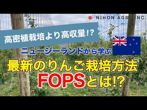 【海外視察】光の利用率90%で高密植栽培より高収量！？ニュージーランドで最新のりんご栽培方法FOPSを学んできた！