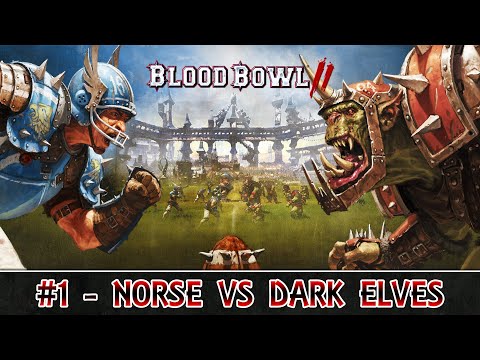 Blood Bowl #1 - Norse vs Dark Elves - An Inauspicious Start