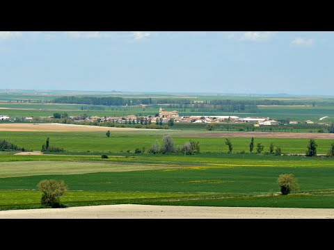 MENESES DE CAMPOS_COMARCA TIERRA DE CAMPOS_PALENCIA