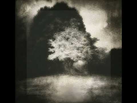 Hania Rani, Ólafur Arnalds - Woven Song