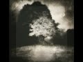 Hania Rani, Ólafur Arnalds - Woven Song