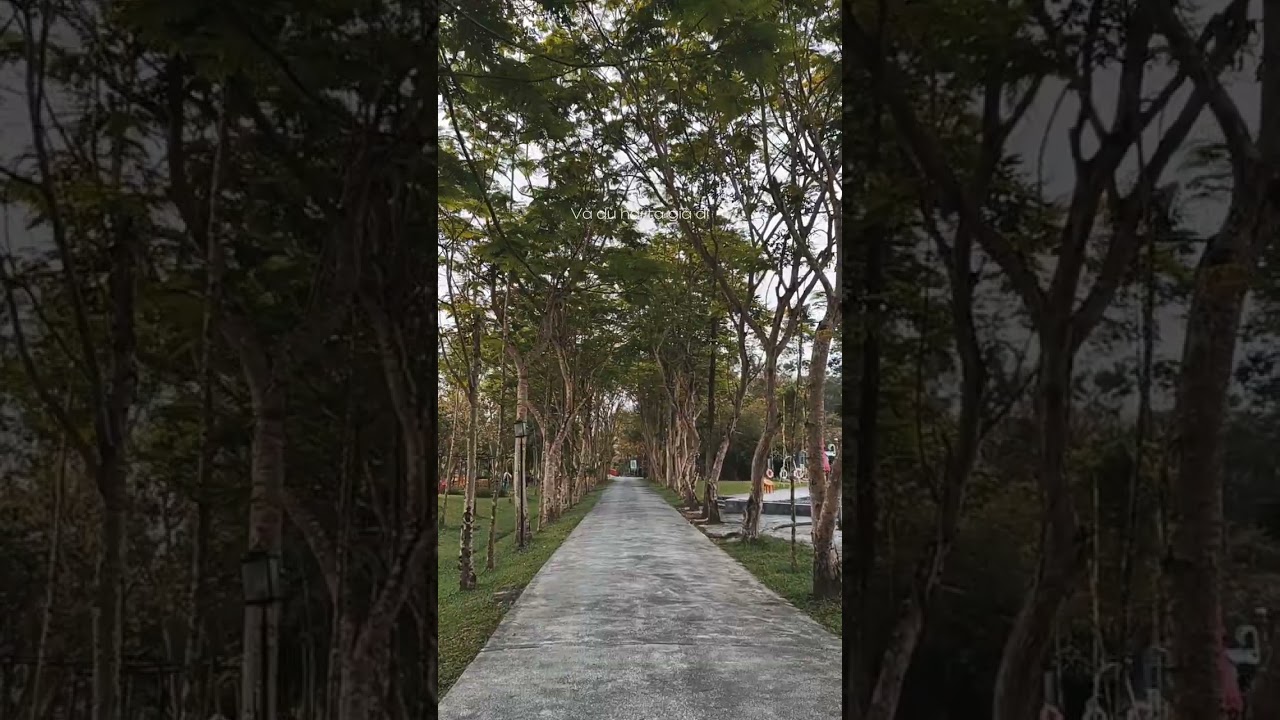 YouTube Short thumbnail