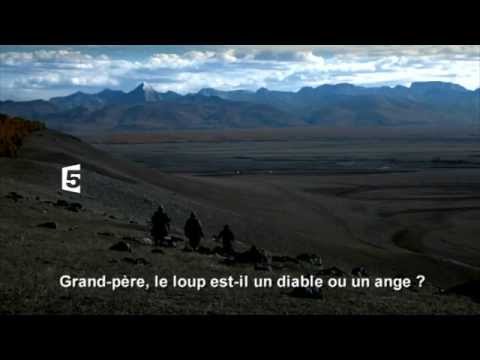 Bande-Annonce France 5 - Humanités