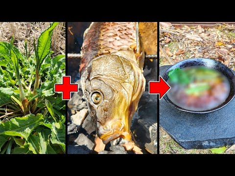 園芸 バググロス、ガチョウの舌、マムシ草