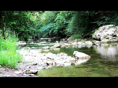 Ramazan 1433 / 2012 - HADIS DANA 24 - www.muslim-media.org