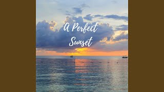 Shadows of the Night