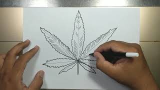 How to draw POT LEAF easy step by step in 5 minutes