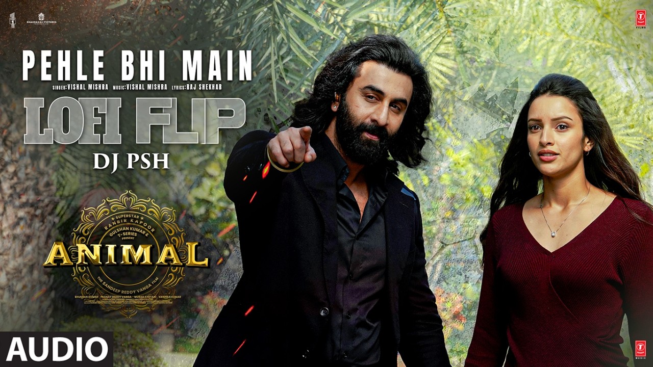 Pehle Bhi Main Lofi Flip | Ranbir Kapoor, Tripti Dimri, Vishal Mishra | Animal | DJ PSH
