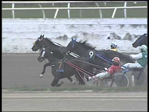 Trotto 15/03/2015 - 4° corsa