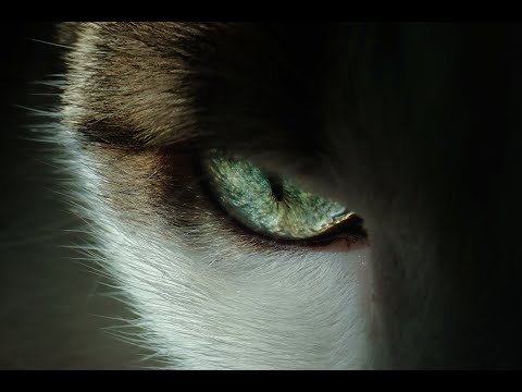 Moby ft. Mylene Farmer - Slipping Away (Crier La Vie) (MHC Extended Mix)