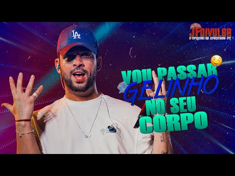 HENRY FREITAS - VOU PASSAR GELINHO NO SEU CORPO (Versão Estendida)