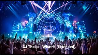 DJ Thoka - What is (Extended)