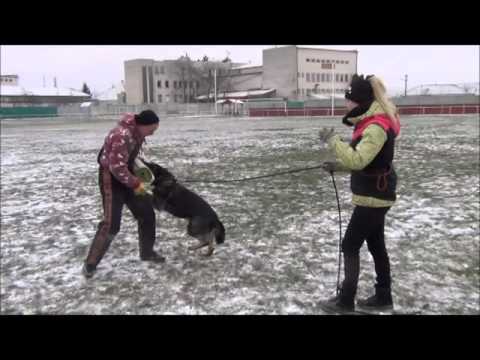 Jennifer Ad-Gur 1/2016