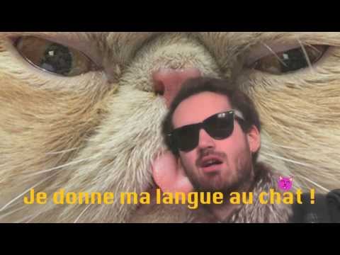 Langue au Chat (CLIP OFFICIEL)