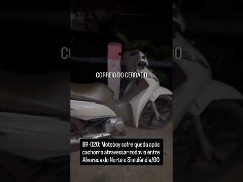 BR-020: Motoboy sofre queda após cachorro atravessar rodovia entre Alvorada do Norte e Simolândia/GO