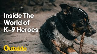 Inside the World of Search and Rescue Cadaver Dogs