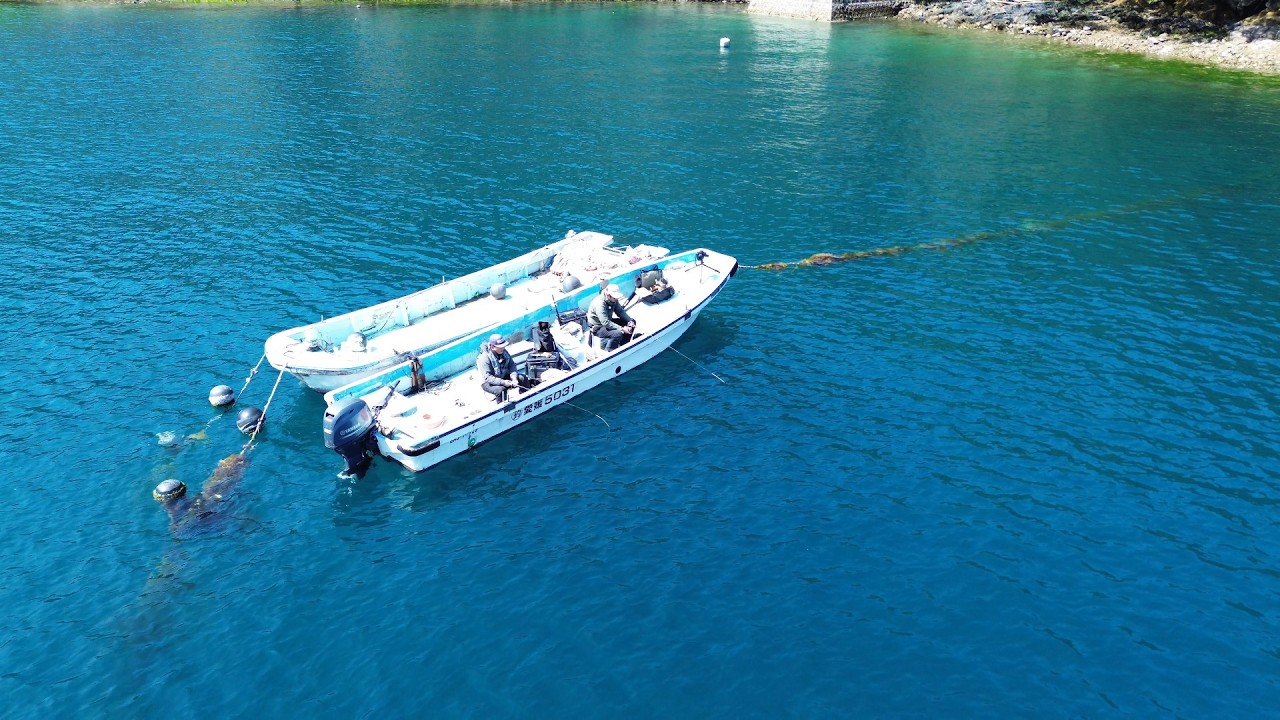 真珠養殖が盛んな宇和島周辺の海域でかぶせ釣りしてみたら…
