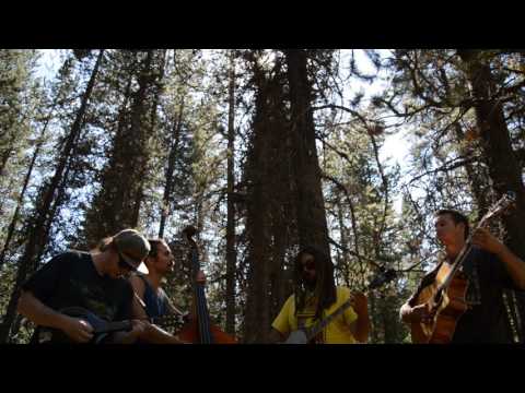 Colder Nights - Kitchen Dwellers