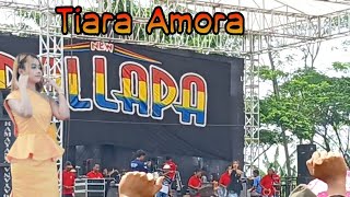 Download lagu Air Mata Tiada Arti. Tiara Amora New Pallapa Ramayana Ngepung Kedamean Gresik mp3