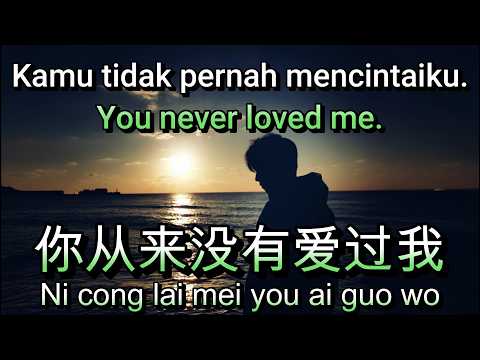 你从来没有爱过我🎵演唱🎵励明（超好聽）cover🎵Ni cong lai mei you ai guo wo