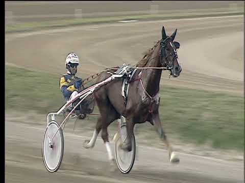 Trotto 22/10/2017 - 1ª corsa