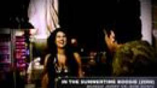 Mungo Jerry In the Summertime 2008 - New Party Edit
