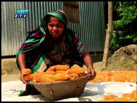 02 Pm News || দুপুর ০২ টার সংবাদ || 18 November 2020|| ETV News