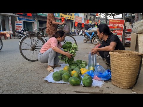 , title : 'Harvest clean vegetables, Papaya go to the market to sell , Clean the barn, king kong amazon, Fp 309'