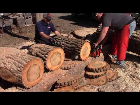 Oregon SpeedCut Cutting System & VersaCut Bar Introduction By Greg Wade