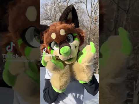 I still think he's 10/10 #furry #furries #furrys #fursuit #fursuitmaker #furrytrash #fursuiter #owo