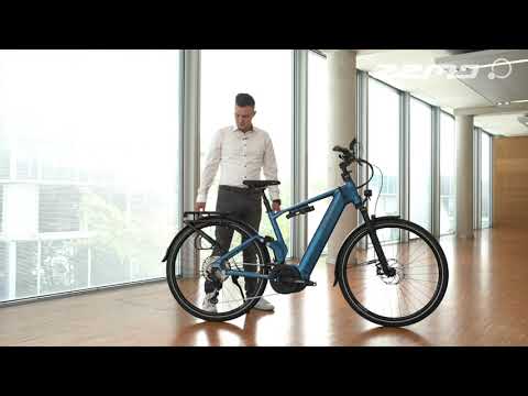 Zemo ZE FS 12 Trekkingfahrrad 2021